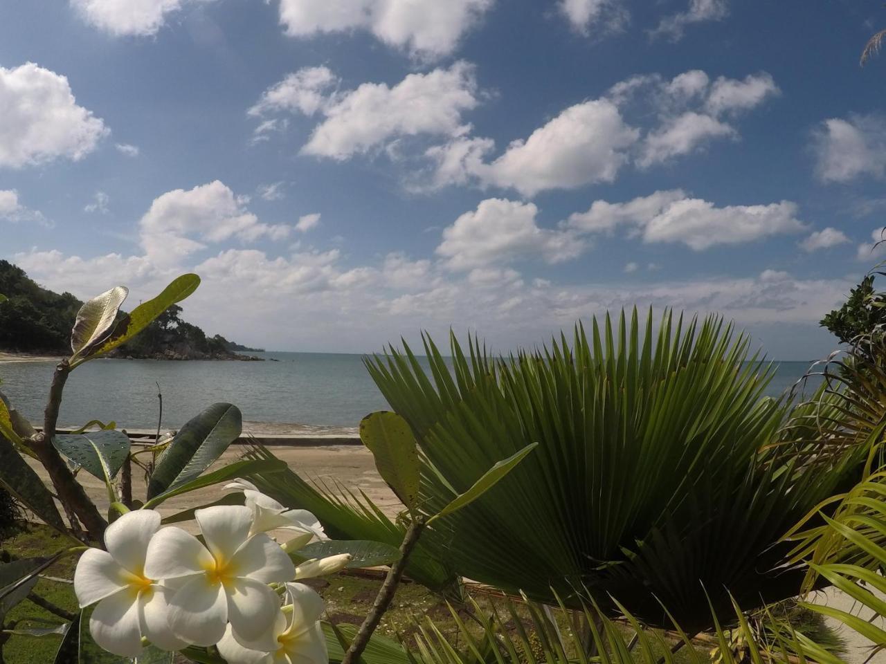 Dolphin Bay Beach Resort 코팡안 외부 사진